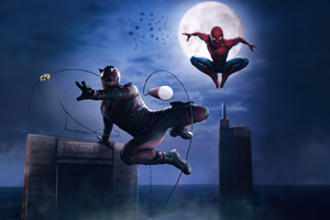Daredevil And Spider Man Dynamic Team Up Wallpaper