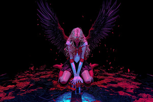 Dark Angel Fallen Feathers (1920x1080) Resolution Wallpaper