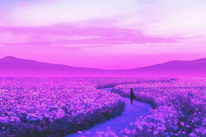 Day Dreaming Lavender Field 4k