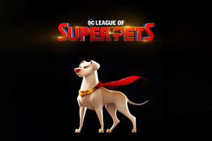 Dc League Of Super Pets 2 5k Wallpaper