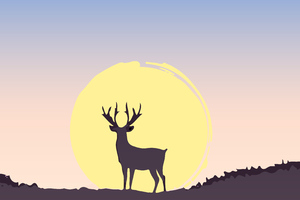 Deer At Sunset Minimal 4k (1600x900) Resolution Wallpaper