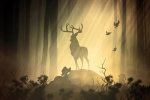 Deer Fantasy Forest