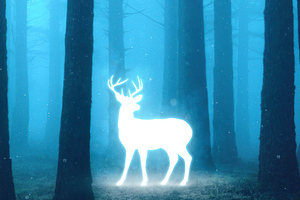 Deer In Magical Forest Wallpaper