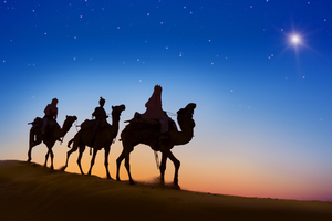 Desert Camels Evening Silhouette Wallpaper