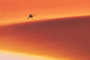 Desert Man Camel Safari