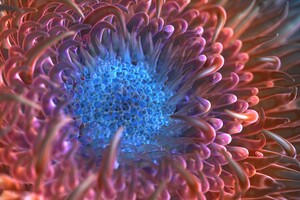 Digital Anemone Flower (2560x1440) Resolution Wallpaper