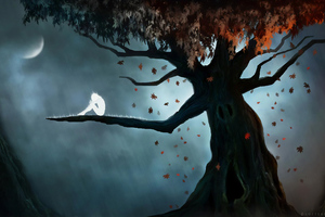 Do Trees Have Souls (1152x864) Resolution Wallpaper