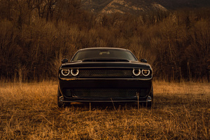 Dodge Challenger American Muscle Unleashed (1400x900) Resolution Wallpaper
