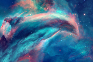 Dolphin Nebula Space