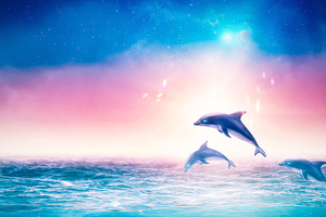Dolphins Digital Art 4k
