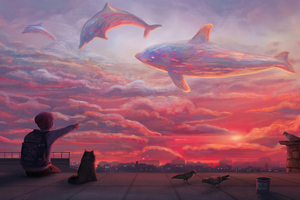 Dolphins Sky Clouds 5k (1366x768) Resolution Wallpaper