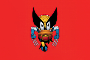 Donald Duck Became Wolverine (1360x768) Resolution Wallpaper
