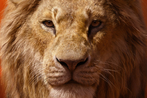Donald Glover As Simba The Lion King 2019 4k