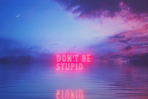 Dont Be Stupid (2560x1080) Resolution Wallpaper