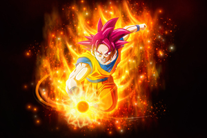Dragon Ball Super Super Saiyan Goku