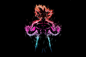 Dragon Ball Z Goku Ultra Instinct Fire 4k