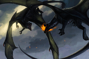 Dragon Fighting Throwing Flame
