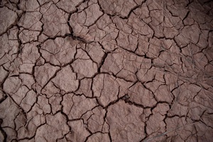 Drought Earth Desert