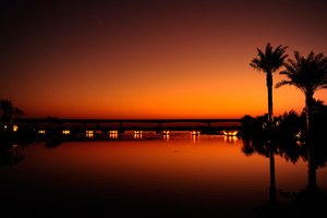 Dubai Palm Trees Sunset Reflection