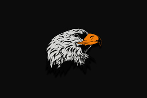 Eagle Dark Illustration 8k