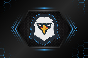Eagle Minimalism Logo 4k