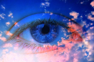 Eye Iris Pupil
