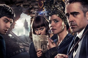 Fantastic Beasts And Where To Find Them HD Wallpaper