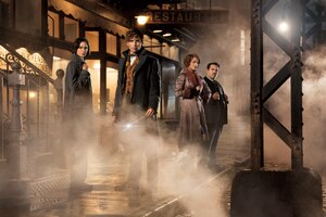 Fantastic Beasts And Where To Find Them Wallpaper