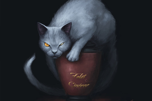 Feles Cinereo Cat (1440x900) Resolution Wallpaper
