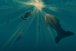 Fish Light Underwater Digital Art (2560x1080) Resolution Wallpaper