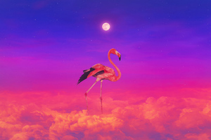 Flamingo Colorful 4k (1400x900) Resolution Wallpaper