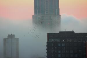 Flock Of Birds Over A Foggy Seattle 5k