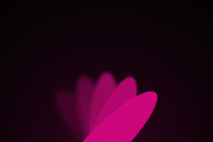 Flower Minimal Dark Blur (5120x2880) Resolution Wallpaper