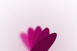 Flower Minimal White Blur (5120x2880) Resolution Wallpaper