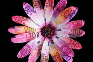 Flower Petals Leaves Daisy Euro Wallpaper