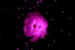 Flower Shape Artistic Light (1024x768) Resolution Wallpaper