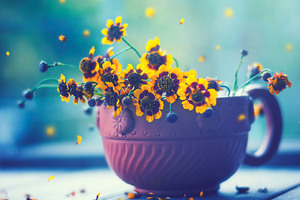 Flowers In Cup (1360x768) Resolution Wallpaper