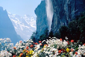 Flowers Mountains Cliff