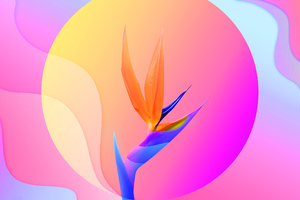 Flowers Of Paradise 4k (2048x2048) Resolution Wallpaper