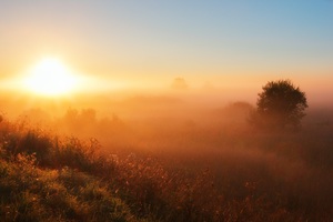 Fog Dawn Sunset 5k (1600x900) Resolution Wallpaper