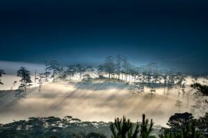 Foggy Morning Hills 8k (2560x1080) Resolution Wallpaper