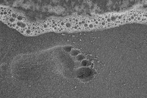 Footprint On Sand Beach 4k