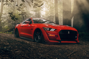 Ford Mustang Gt Forest Lord 5k Wallpaper