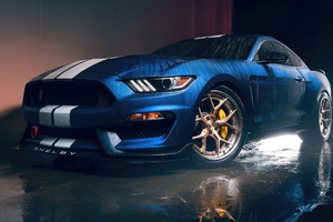 Ford Shelby (1280x720) Resolution Wallpaper