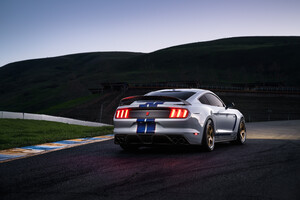 Ford Shelby GT350 Rear