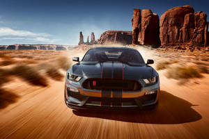 Ford Shelby GT500 2018 Car