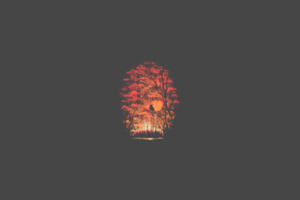 Forest Minimalist (1280x800) Resolution Wallpaper