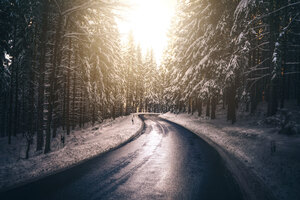Forest Nature Road Snow Tree Winter 5k Wallpaper