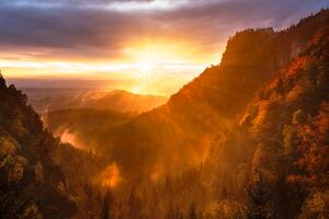 Forest Valley Day Starting Calming Sunrise 5k (1600x900) Resolution Wallpaper