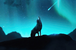 Fox Howling Night Stars 4k